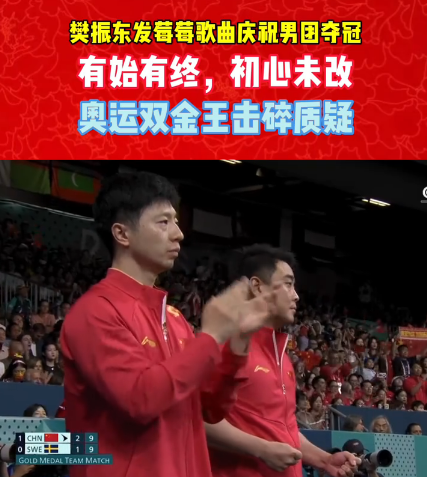 中国队绝杀瑞典队，樊振东关键制胜