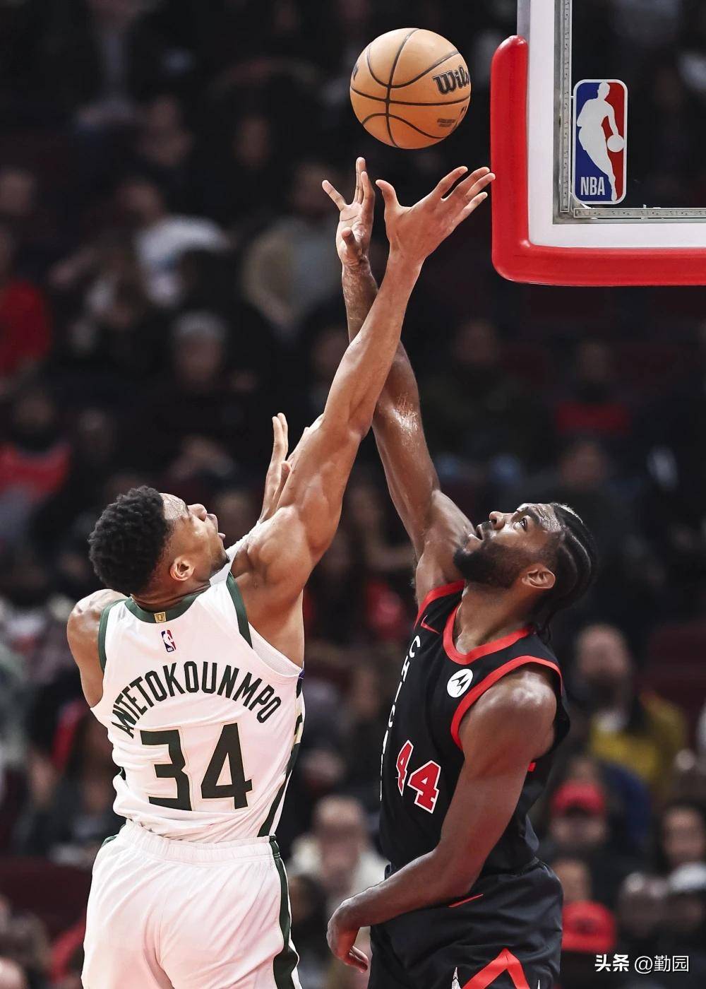 吉林队完胜勇士，字母哥统治全场的简单介绍