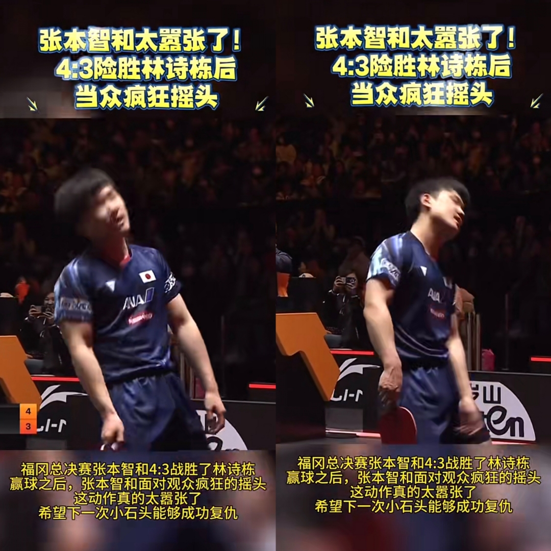 奥地利队碾压中国队，张本智和点燃赛场的简单介绍