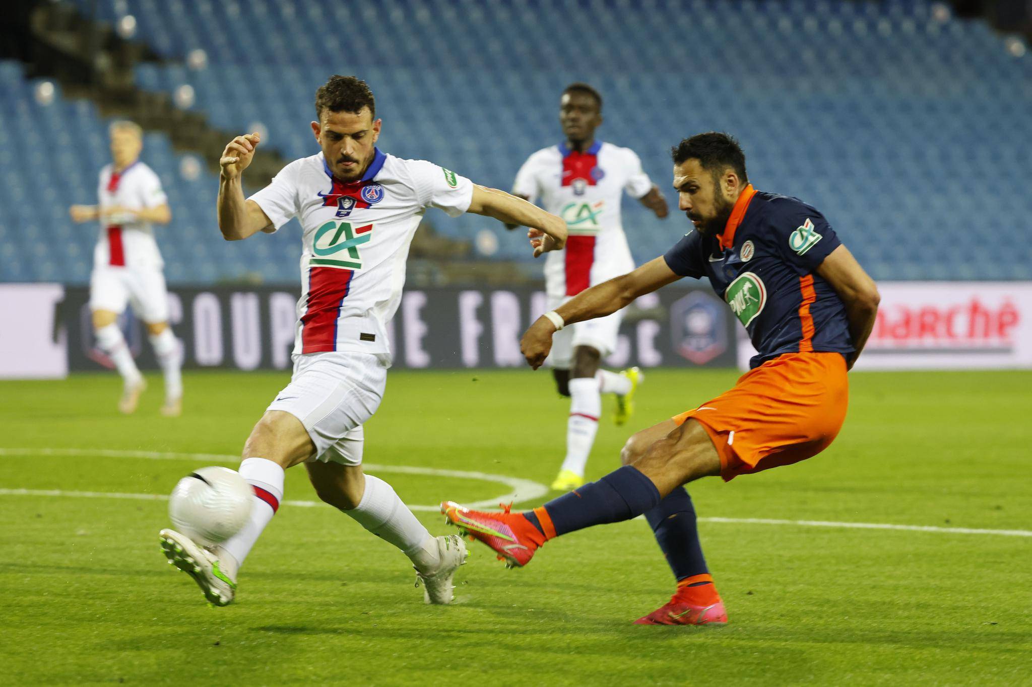 波兰队轻取法国队，张本智和关键制胜的简单介绍